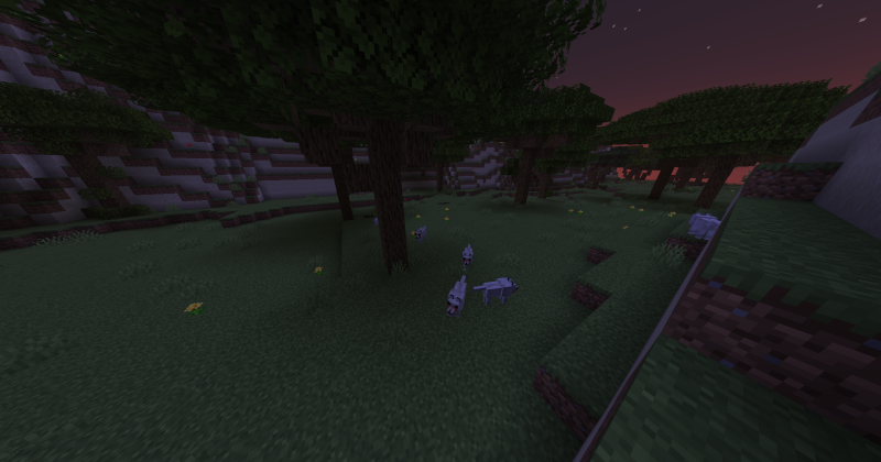 wolfs_creek