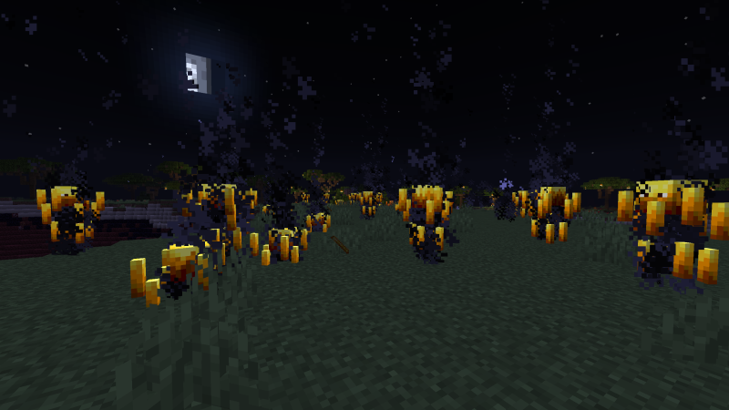 Firestorm Area2